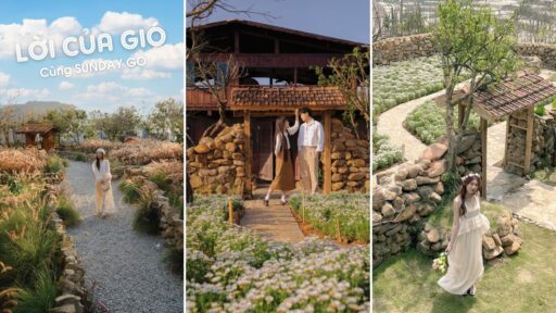 Tour săn mây Đà Lạt - Thiên đường Cầu Đất 15 Quán cà phê Lời của Gió nổi tiếng Đà Lạt