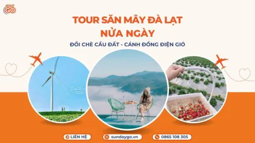 Tour săn mây Đà Lạt nửa ngày