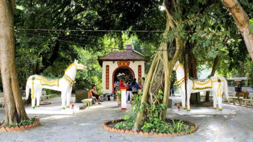 Tour Côn Đảo 2 ngày 1 đêm - Đón tại Côn Đảo 15 tour Sóc Trăng Côn Đảo