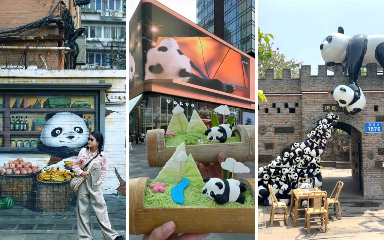 Tour Cửu Trại Câu 6 ngày 5 đêm 12 Công viên Gấu Trúc Thành Đô