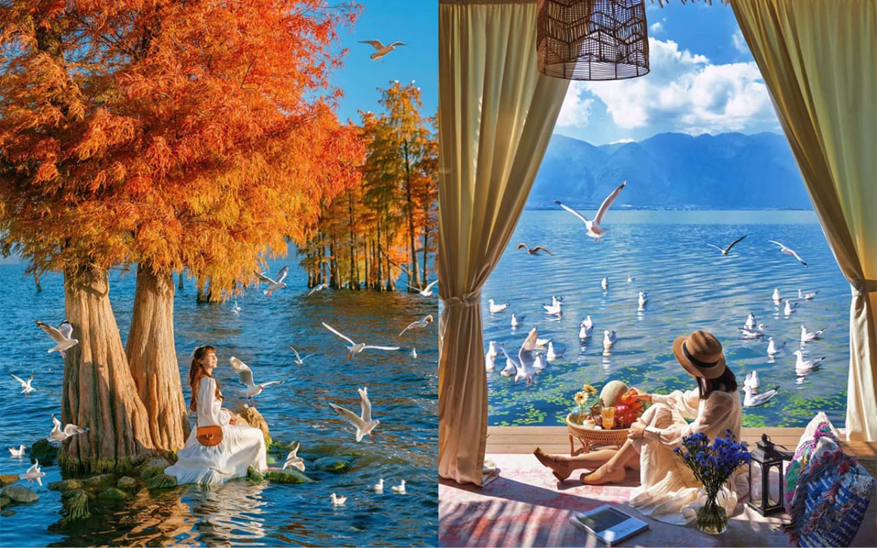 Tour Đại Lý - Lệ Giang - Shangrila 6 ngày 5 đêm (No shopping) 16 Tour Đại Lý Lệ Giang Shangrila - Hành lang