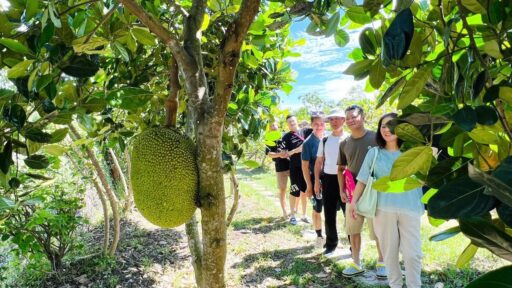 Tour chợ nổi Cái Răng Cần Thơ - Vườn trái cây