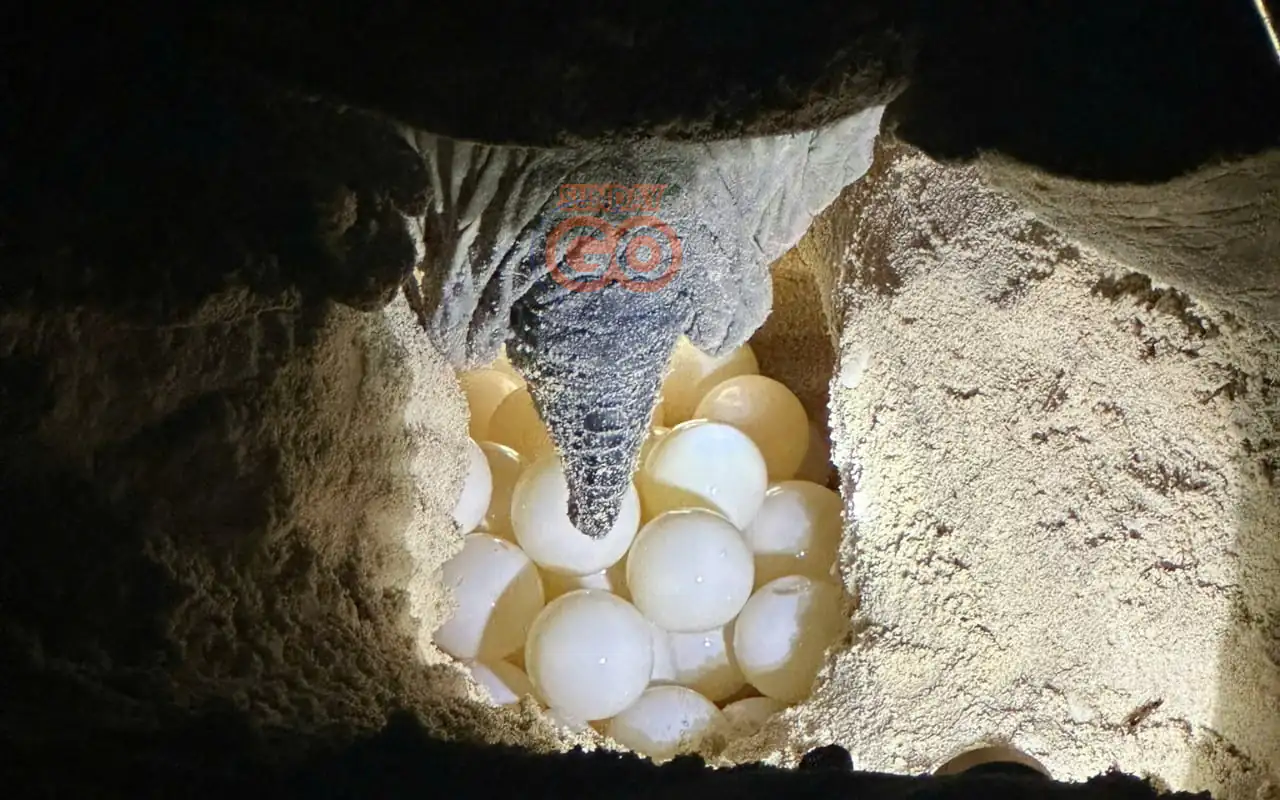 Du lịch Côn Đảo - Mùa đẹp nhất để đi du lịch