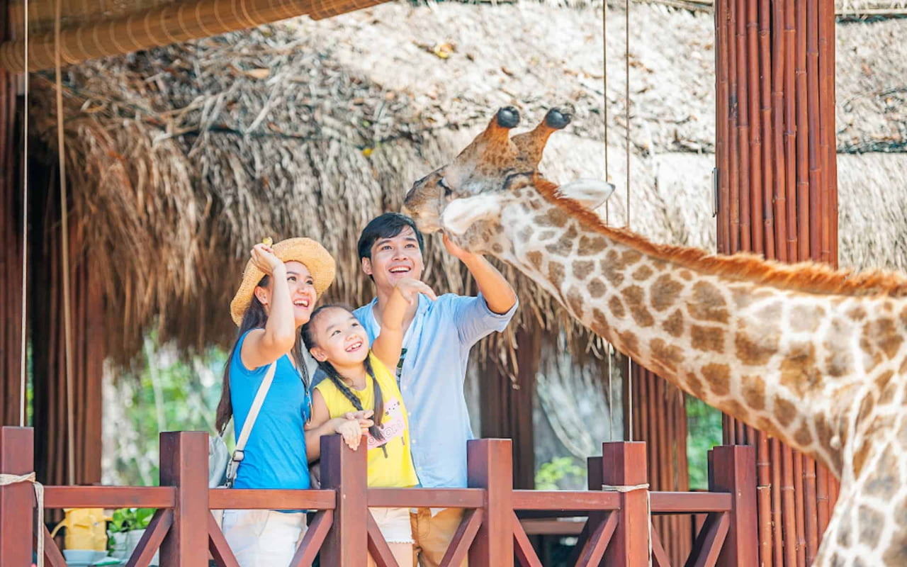 Kinh nghiệm du Lịch Phú Quốc 2026 | Cẩm nang A-Z 15 Trải nghiệm tham quan thú tại Vinpearl Safari
