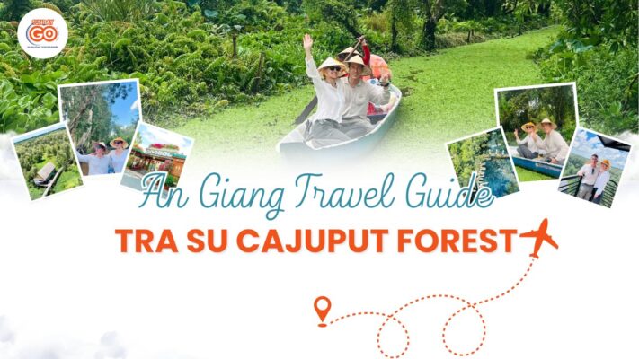 Tra Su Cajuput Forest: The Ultimate Travel Guide