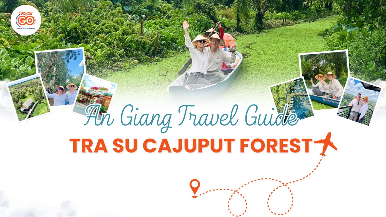 Tra Su Cajuput Forest: The Ultimate Travel Guide