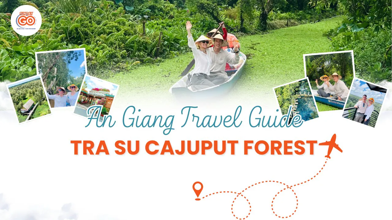 Tra Su Cajuput Forest: The Ultimate Travel Guide