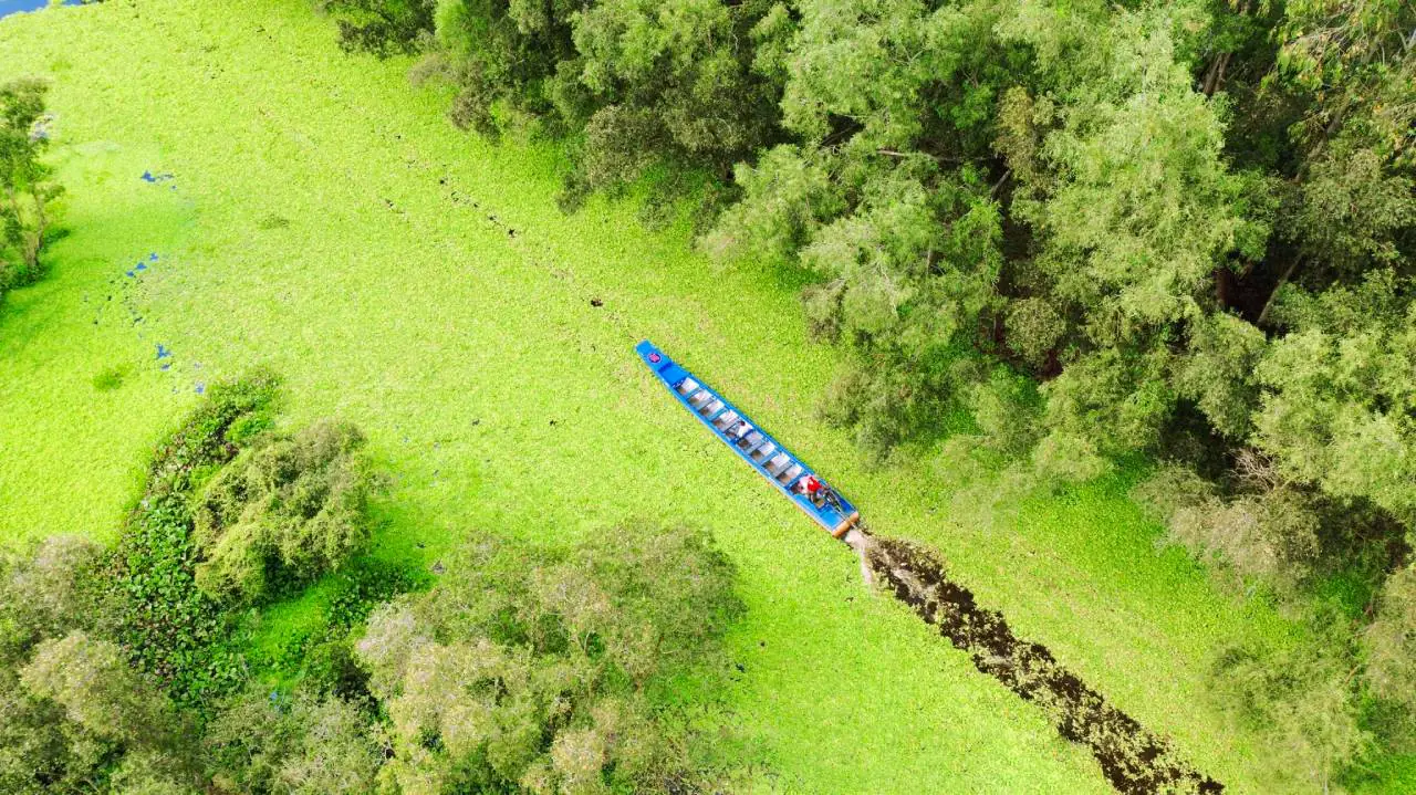Tra Su cajuput forest - Vietnam Travel Guide