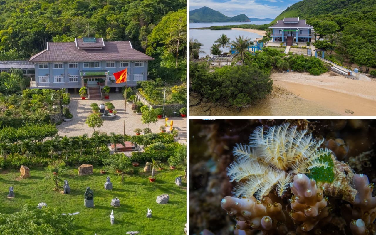 Hệ thống phân khu của vườn quốc gia Côn Đảo