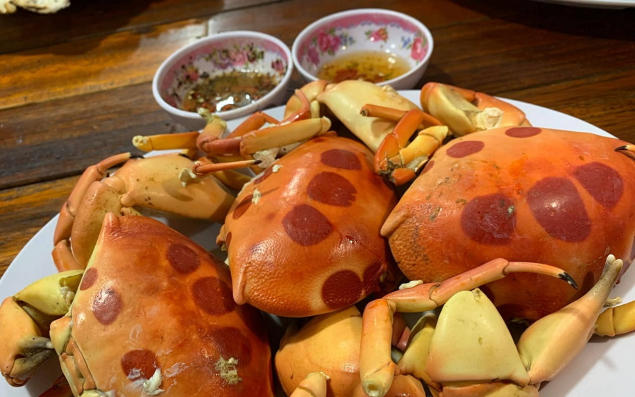 Thưởng thức thịt cua mặt trăng- đặc sản Côn Đảo