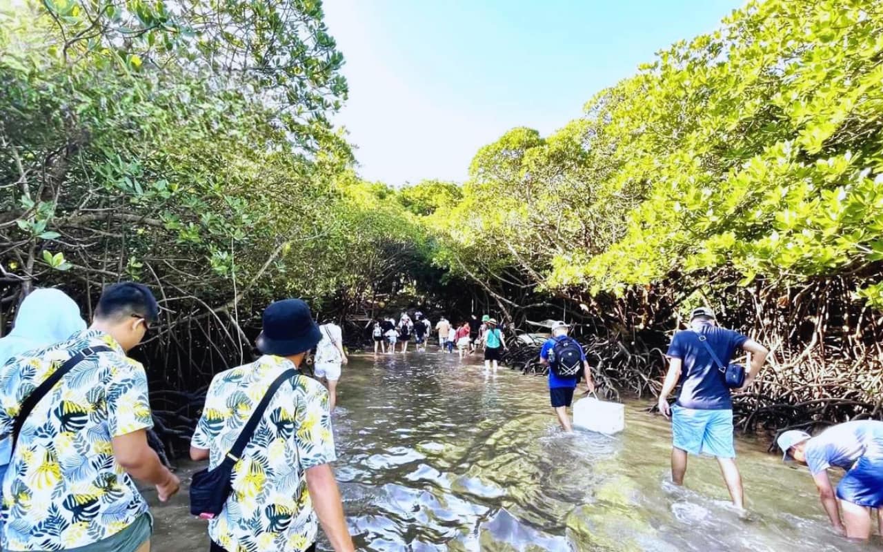 Tour Côn Đảo 1 ngày - Đi bộ xuyên rừng đến trạm kiểm lâm