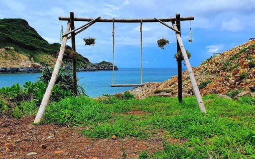 Tour Côn Đảo 1 ngày - Khám phá vẻ đẹp Vịnh Đầm Tre