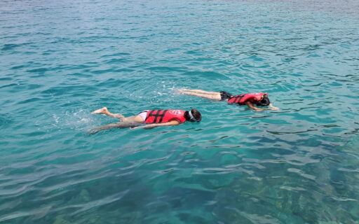 Tour Côn Đảo 1 ngày - Lặn ngắm san hô