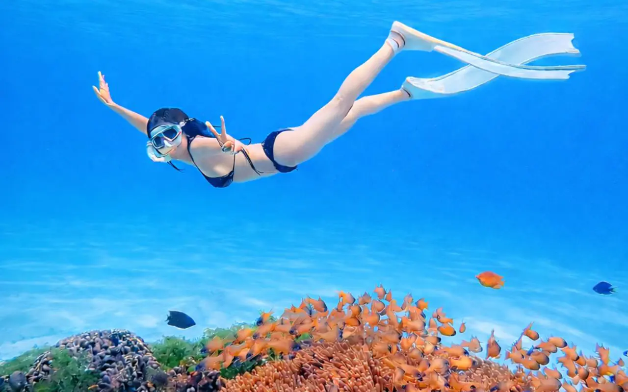 Lặn ngắm san hô tại Hòn Tranh