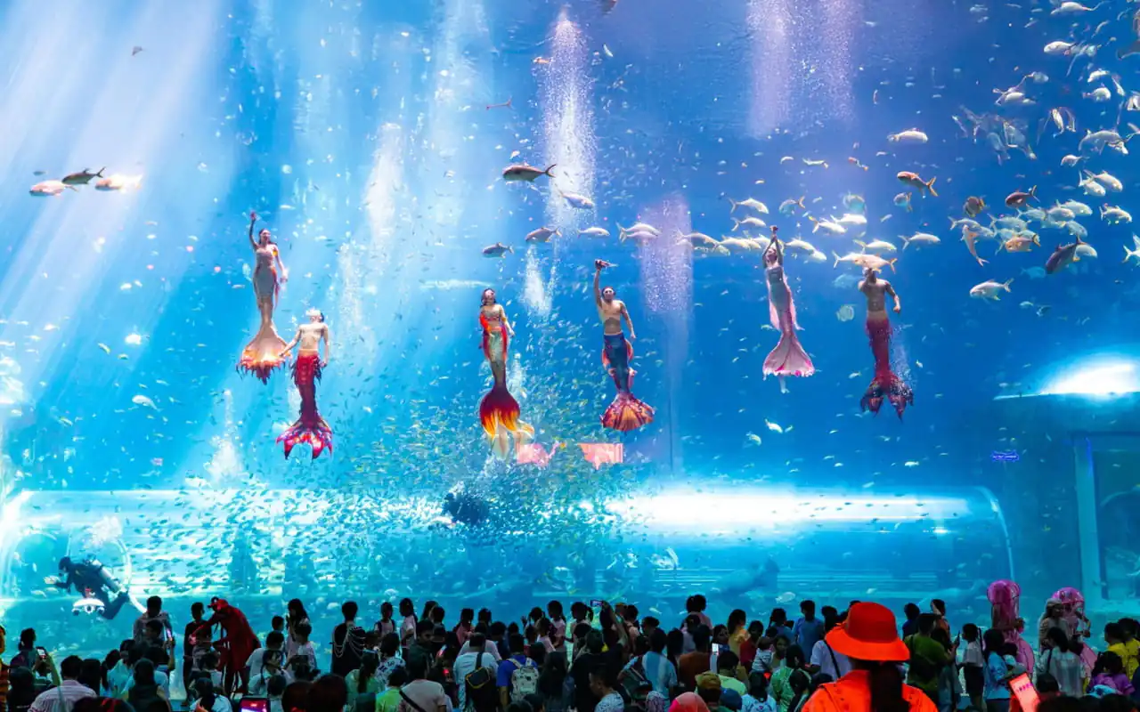 Tour VinWonders Phú Quốc - Xem biểu diễn nàng tiên cá