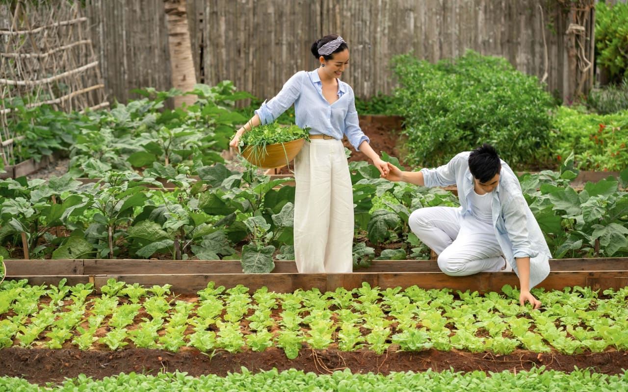 Vườn rau organic tại Six Senses Côn Đảo Resort