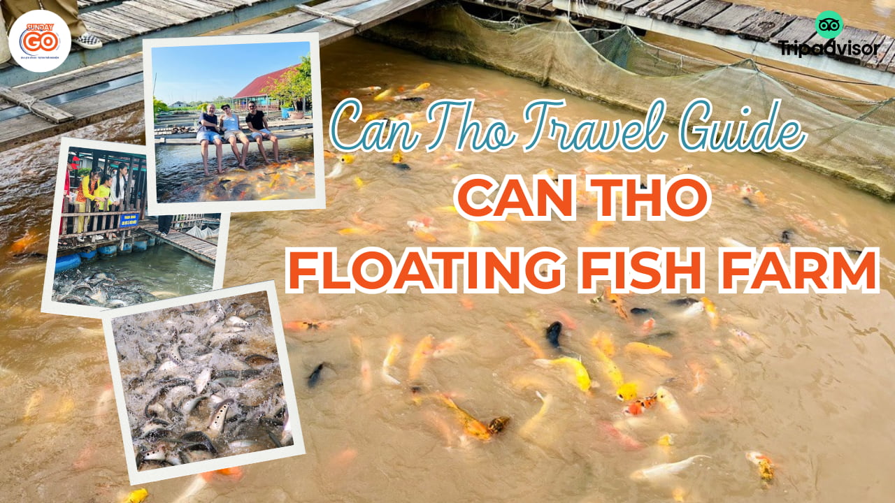 can tho floating fish farm