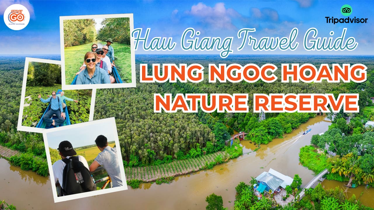 lung ngoc hoang nature reserve forest in can tho