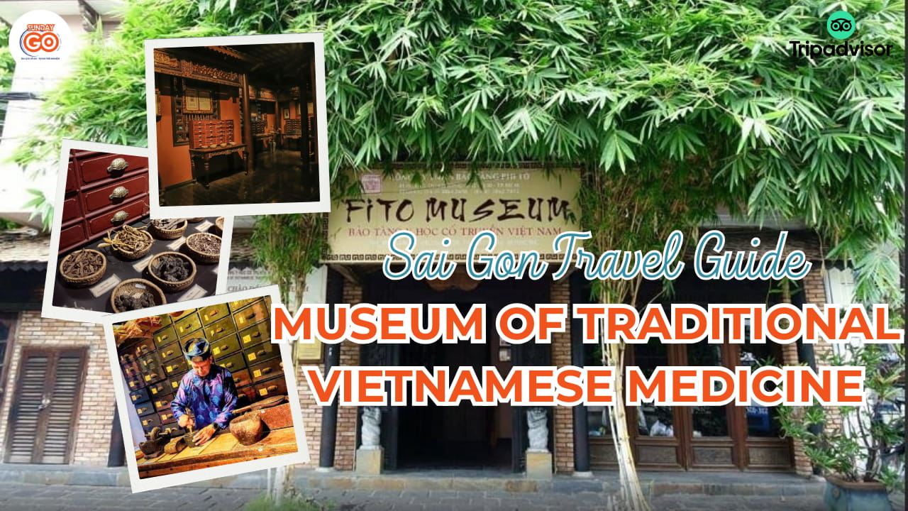 museum of traditional vietnamese medicine saigon