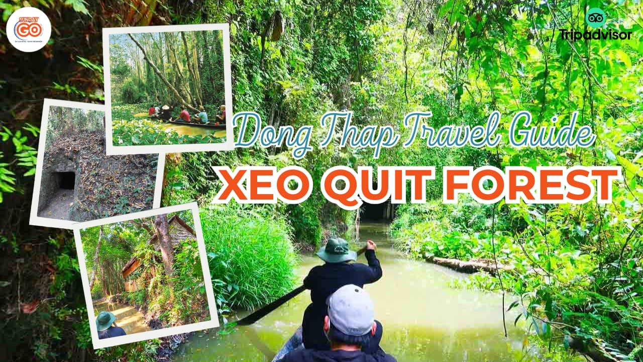 xeo quyt forest vietnam