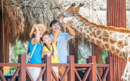 Tour Cần Thơ Phú Quốc 3 ngày 2 đêm trọn gói 3990k 8 Tour Cần Thơ Phú Quốc 3 ngày 2 đêm - Vinpearl Safari