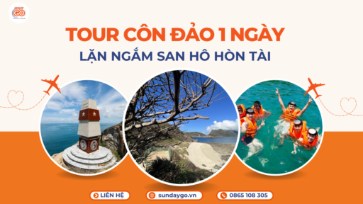 Tour Côn Đảo 1 ngày - Lặn ngắm san hô Hòn Tài