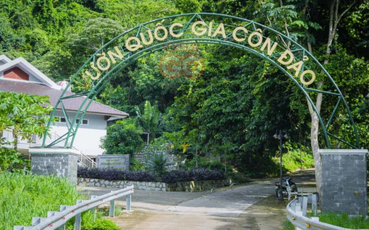 Tour Côn Đảo 1 ngày - Tìm hiểu Vườn Quốc Gia Côn Đảo