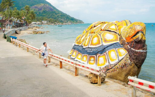 Tour đảo Hòn Sơn Nam Du 3 ngày 3 đêm từ Sài Gòn 8 Tour đảo Hòn Sơn Nam Du 3N3Đ - Tượng rùa đá khổng lồ
