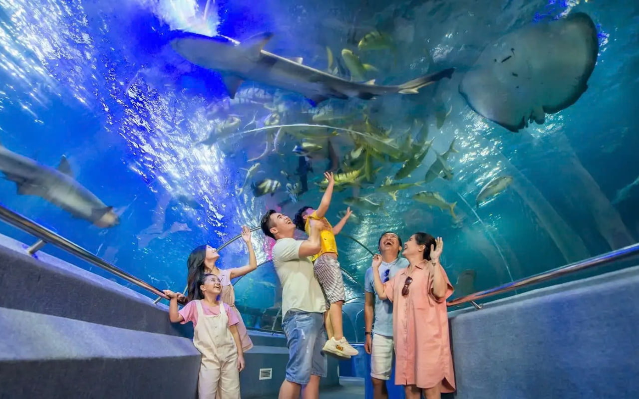 Tour Nha Trang 3 ngày 3 đêm từ Cần Thơ - Viện Hải Dương Học