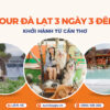 Tour Đà Lạt 3 ngày 3 đêm từ Cần Thơ