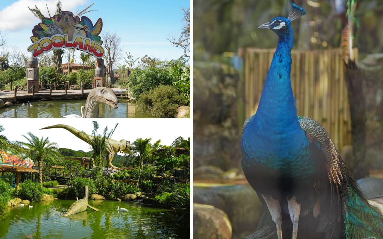Tour Đà Lạt 3 ngày 3 đêm từ TP HCM - Zoo Land