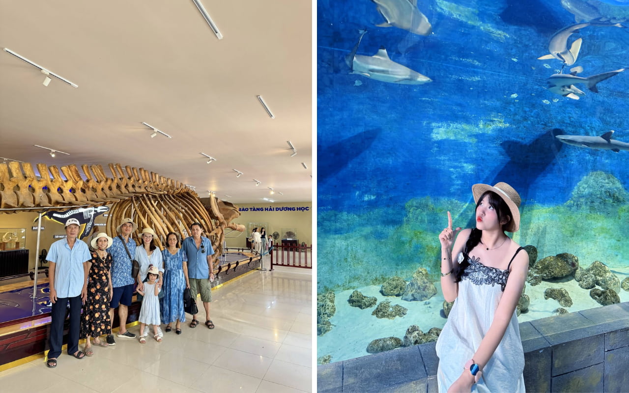 Tour Nha Trang 3 ngày 3 đêm từ TP HCM - Viện Hải Dương Học