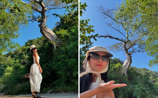 Tour Sài Gòn Nam Du 3 ngày 3 đêm chỉ từ 2630k 8 Tour Sài Gòn Nam Du 3 ngày 3 đêm - Cây cô đơn