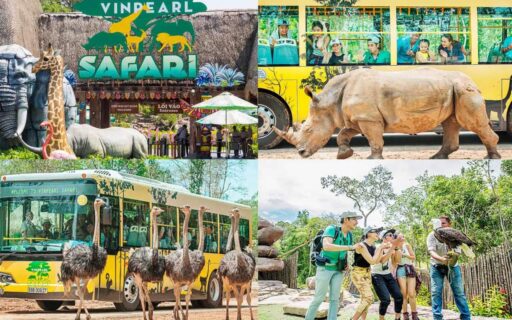 Tour Sài Gòn Phú Quốc 3 ngày 3 đêm | Giá chỉ 3490k 6 Vipearl Safari