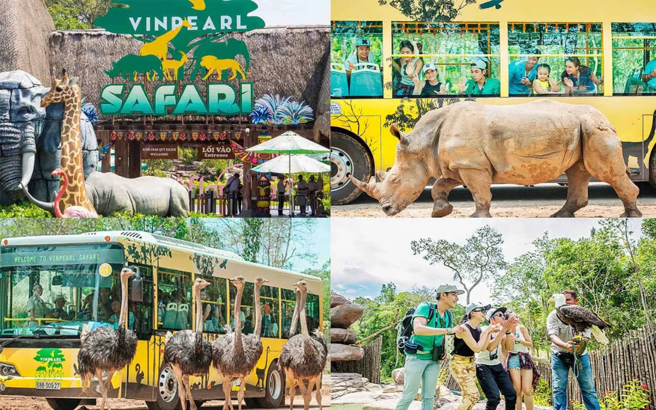 Tham quan Vinpearl Safari