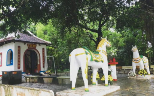 Tour Trần Đề Côn Đảo 2 ngày 1 đêm trọn gói 9 Miếu Hoàng Tử Cải