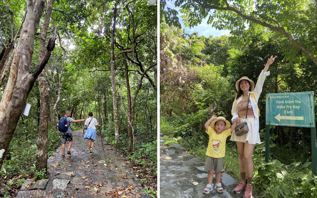 Vịnh Đầm Tre Côn Đảo: Kinh nghiệm khám phá & Trekking 3 Vịnh Đầm Tre - Trekking