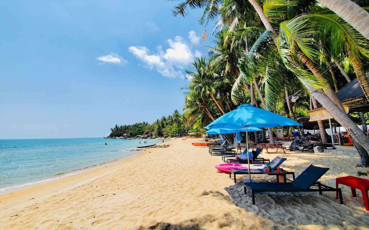 Bãi Bàng Hòn Sơn: Check-in cây dừa nghiêng huyền thoại 2026 5 Bãi Bàng sở hữu làn nước trong xanh