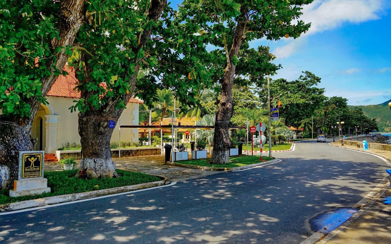 Con đường đi đến cầu tàu 914
