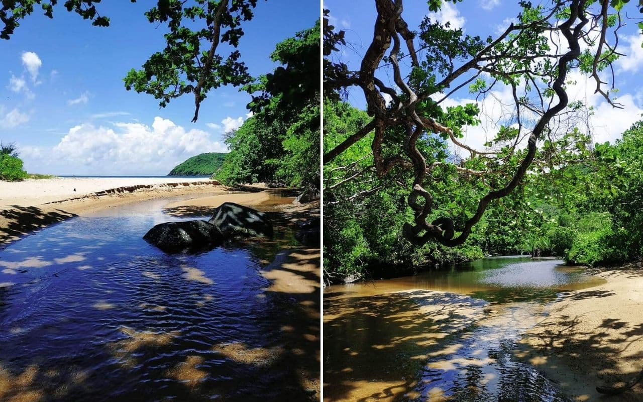 Bãi Suối Nóng - Địa điểm nghỉ dưỡng bí ẩn tại Côn Đảo (2026) 10 Du lịch bãi suối nóng