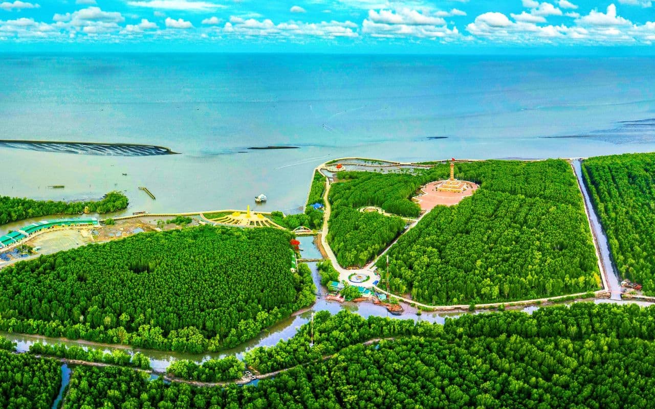 Du lịch Cà Mau - Kinh nghiệm khám phá cực Nam tổ quốc 2026 2 Du lịch Cà Mau tự túc