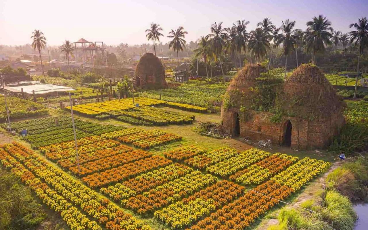 Du lịch Đồng Tháp có gì hấp dẫn