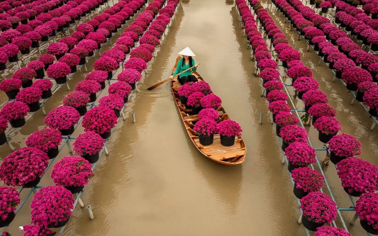 Làng hoa Sa Đéc là thủ phủ hoa lớn nhất miền Tây