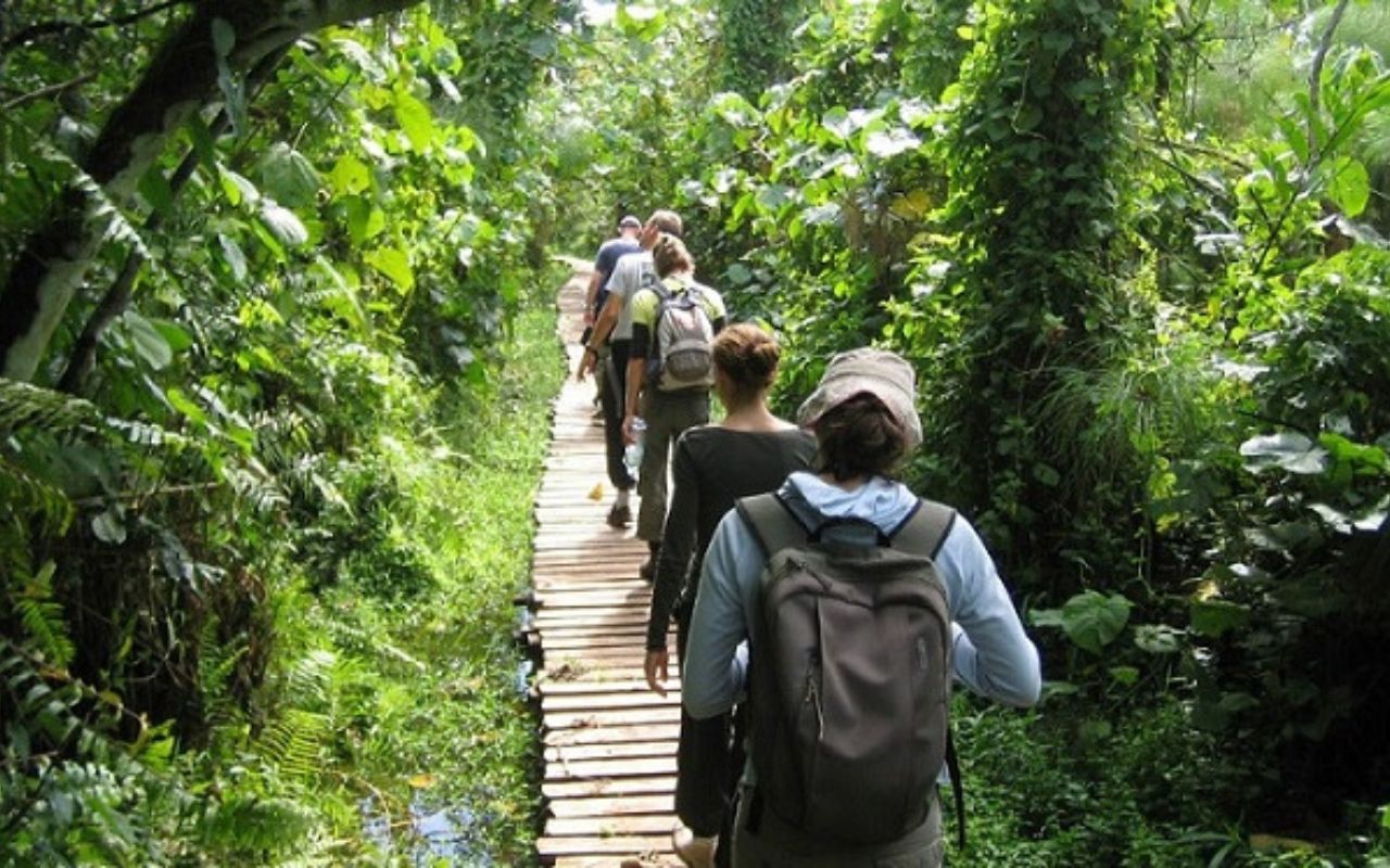 Hình ảnh du khách tham gia hoạt động trekking