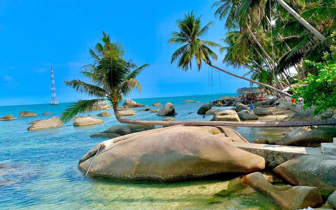 Bãi Bàng Hòn Sơn: Check-in cây dừa nghiêng huyền thoại 2026 8 Lên kế hoạch đến Bãi Bàng cùng Sundaygo