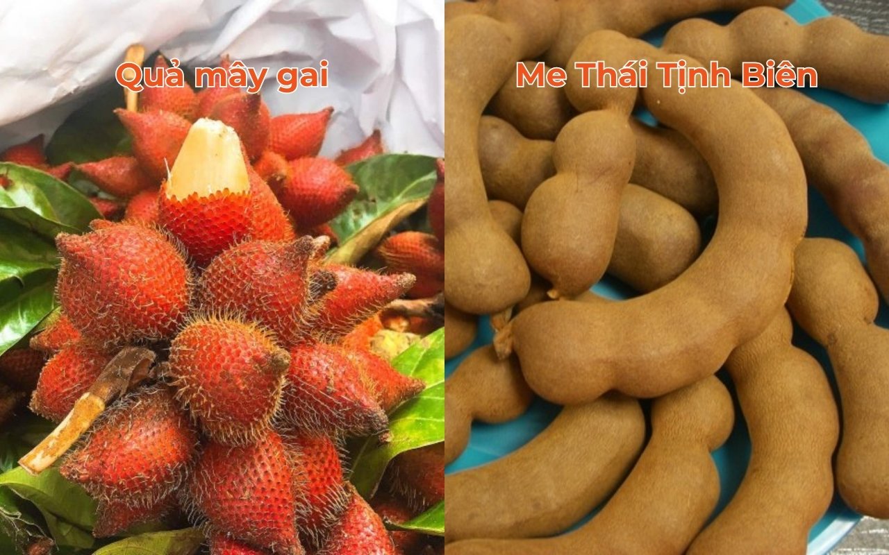Đặc sản An Giang: Top 10+ món ngon & làm quà (2026) 9 Quả mây gai và me Thái Tịnh Biên