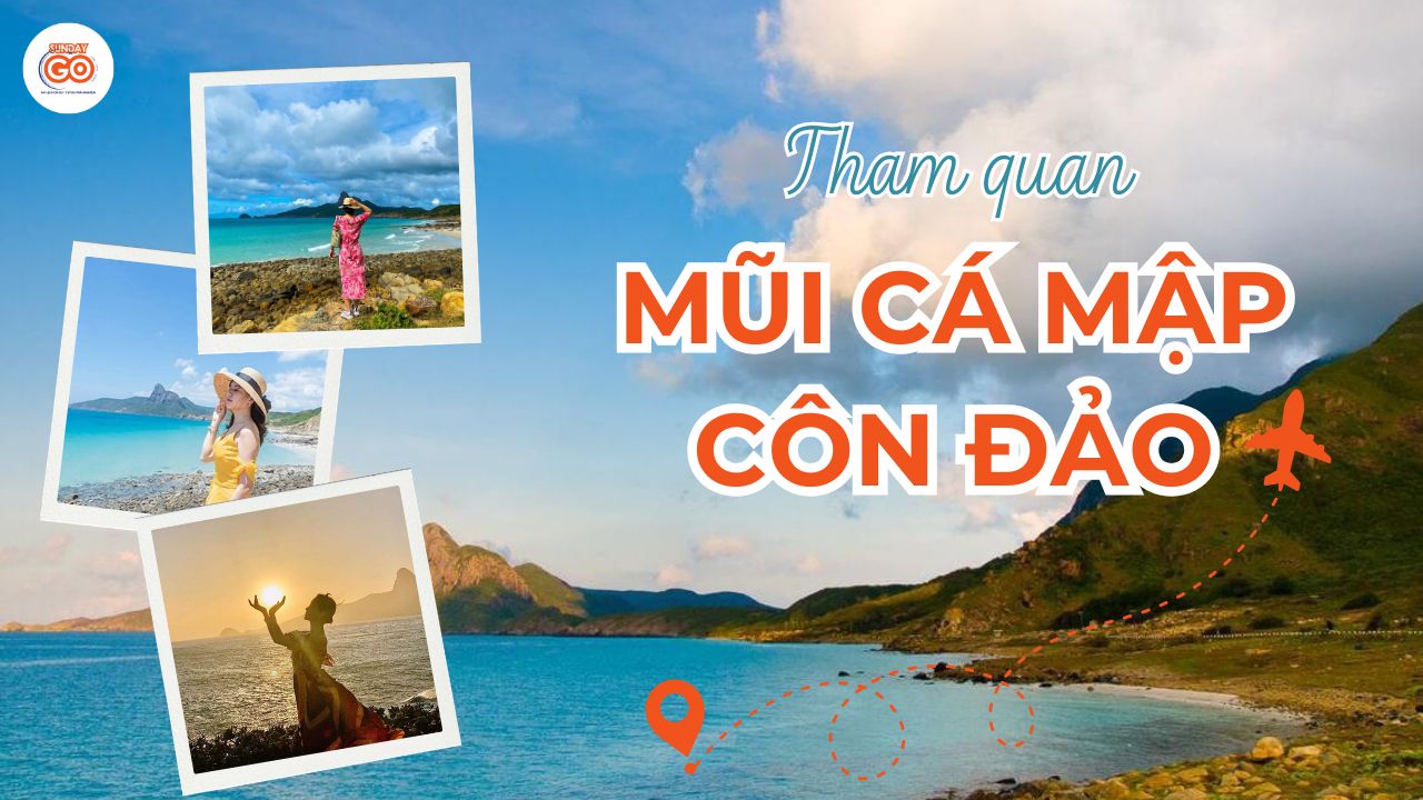 Mũi Cá Mập Côn Đảo