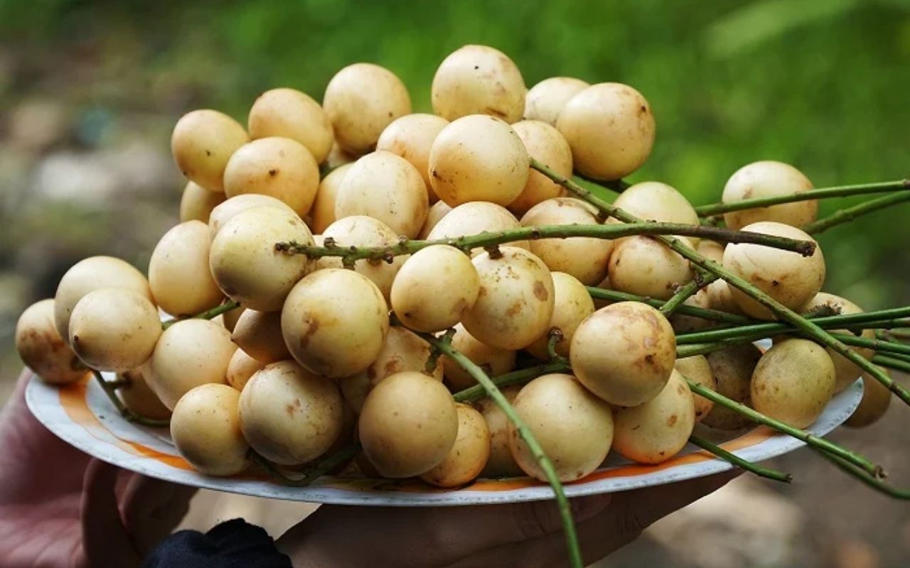 những món ăn đặc sản Cần Thơ