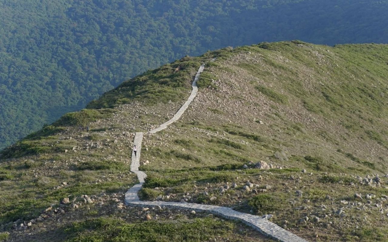 Kinh nghiệm trekking Núi Con Voi Côn Đảo từ A-Z (2026) 8 Đường mòn lưng núi