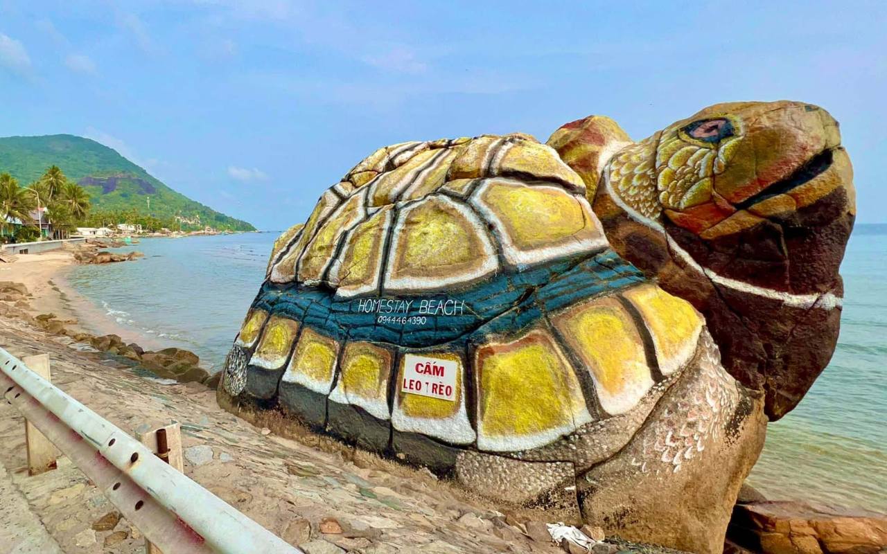 Ông Rùa Hòn Sơn - Địa điểm check-in triệu view năm 2026 3 Ông rùa Hòn Sơn nằm ngay dốc núi